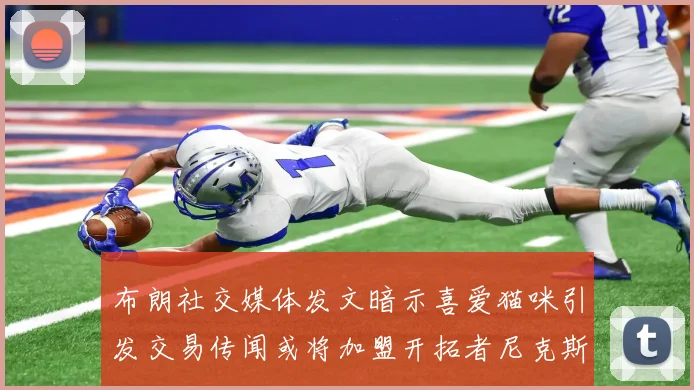 布朗社交媒体发文暗示喜爱猫咪引发交易传闻或将加盟开拓者尼克斯雷霆湖人